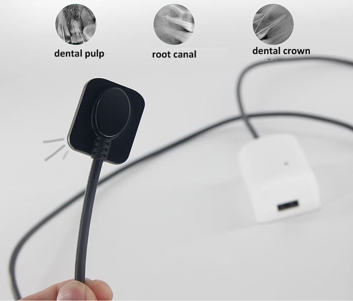 dental x-ray sensor018.jpg